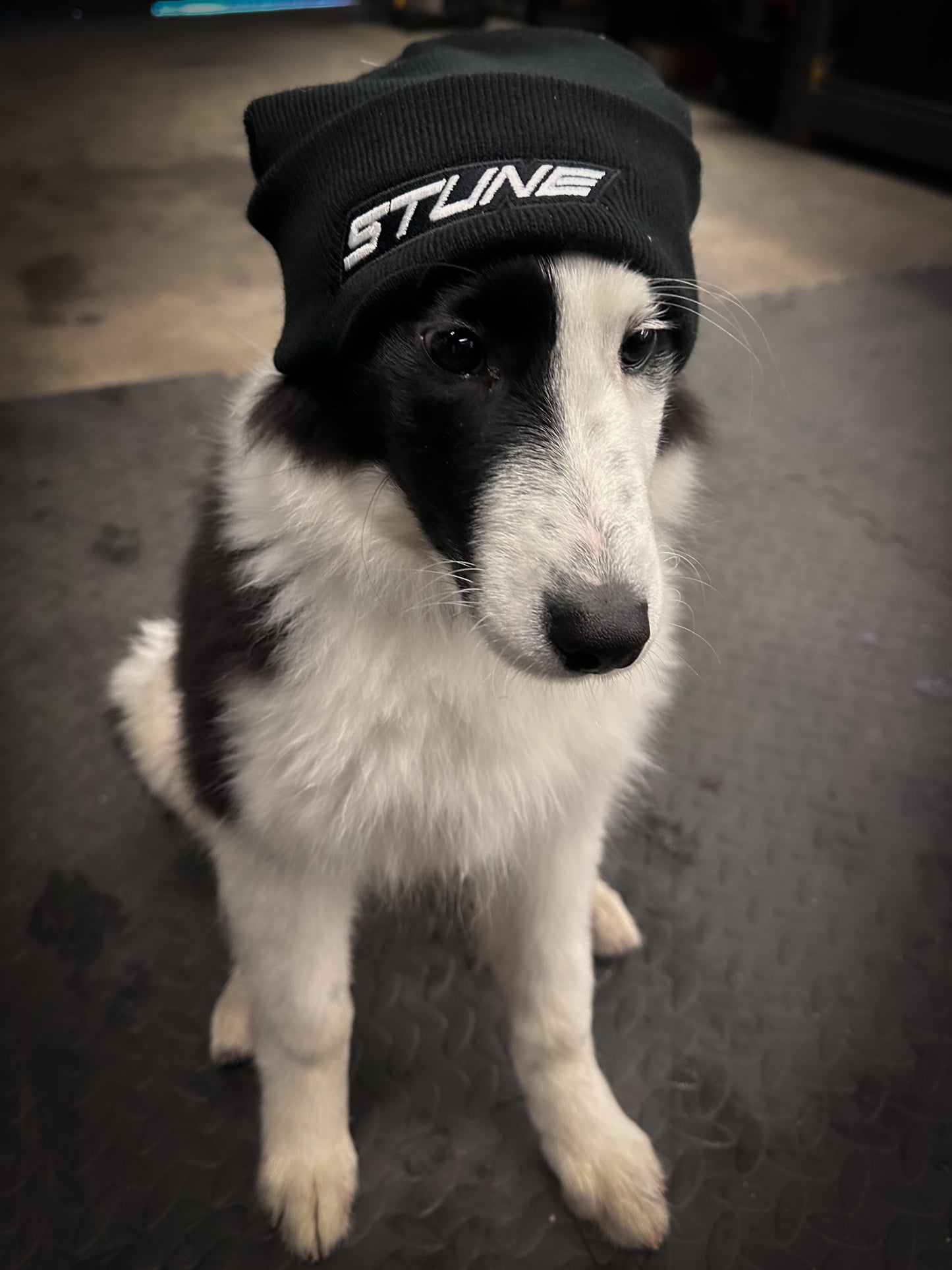 S-Tune Beanie Hat